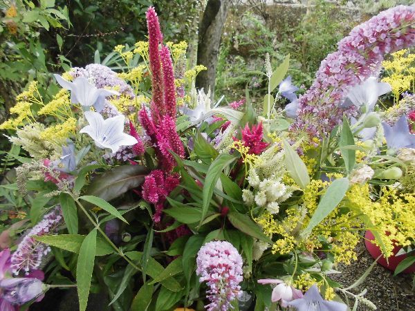 お盆の花は家庭菜園で