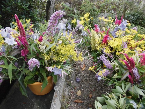 お盆の花は家庭菜園で